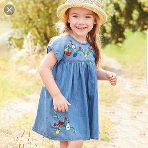 Denim Embroidered Dress